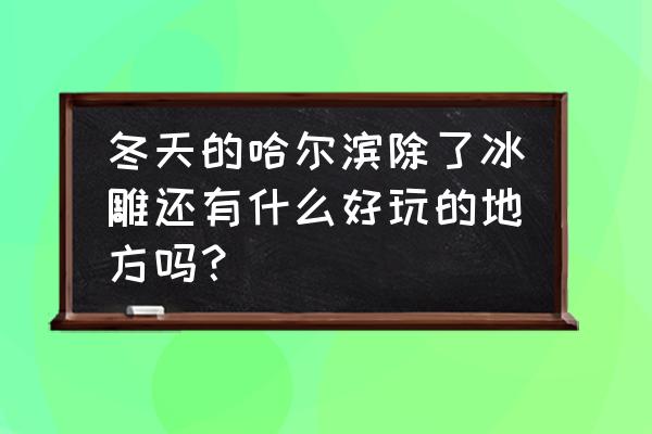 冬天必去打卡的哈尔滨 冬天的哈尔滨除了冰雕还有什么好玩的地方吗？