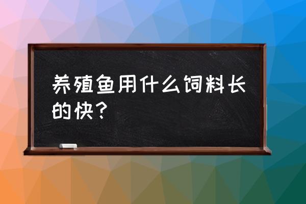 鱼粮怎么买最好 养殖鱼用什么饲料长的快？