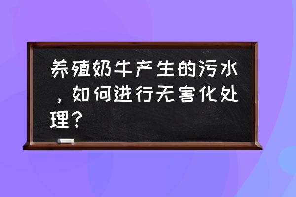 养殖废水处理 养殖奶牛产生的污水，如何进行无害化处理？