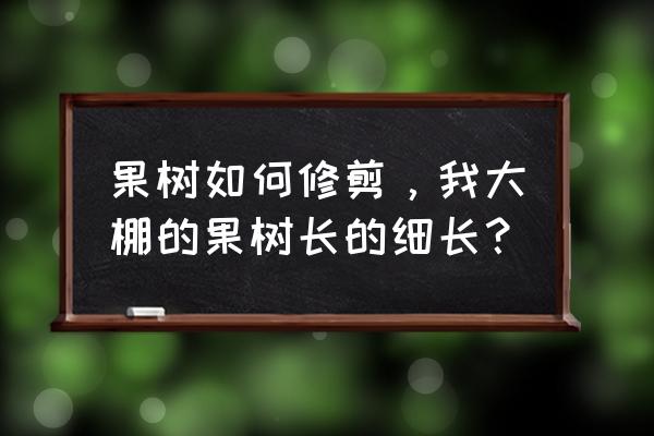 苹果树主枝侧枝尺寸怎么留 果树如何修剪，我大棚的果树长的细长？