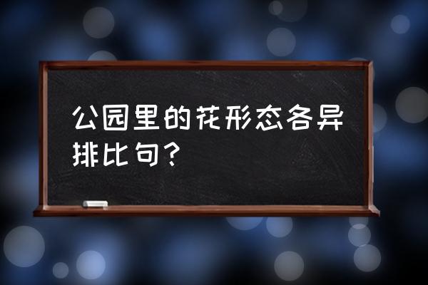 描写公园里的景色的一段排比句 公园里的花形态各异排比句？