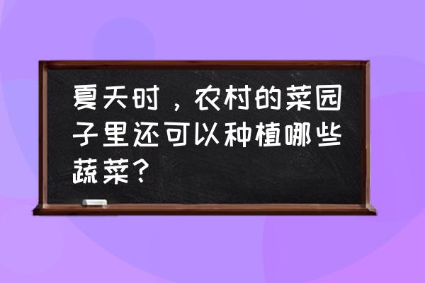 秋天的菜园里有哪些蔬菜 夏天时，农村的菜园子里还可以种植哪些蔬菜？