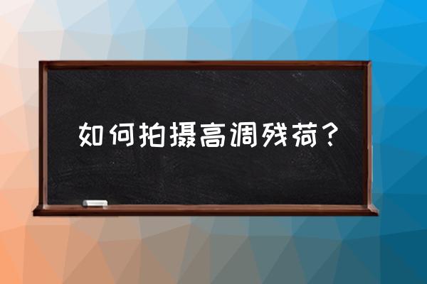 怎么才能做出晚霞 如何拍摄高调残荷？