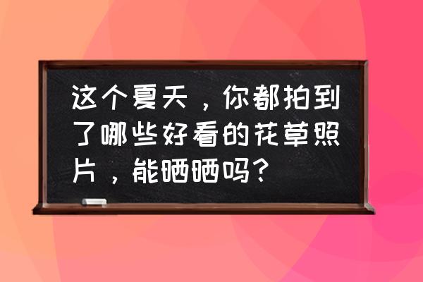 春天花名大全图片简笔画 这个夏天，你都拍到了哪些好看的花草照片，能晒晒吗？