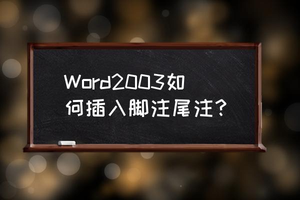 word怎么更改尾注的数字格式 Word2003如何插入脚注尾注？