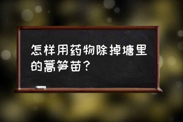 种植曼陀罗一亩收益 怎样用药物除掉塘里的蒿笋苗？