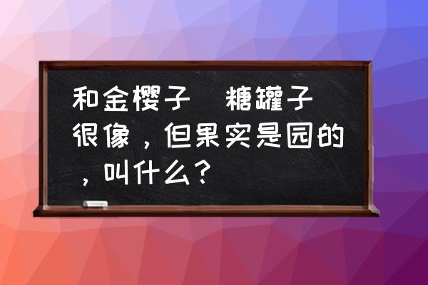 盆栽金樱子用什么盆栽 和金樱子（糖罐子）很像，但果实是园的，叫什么？