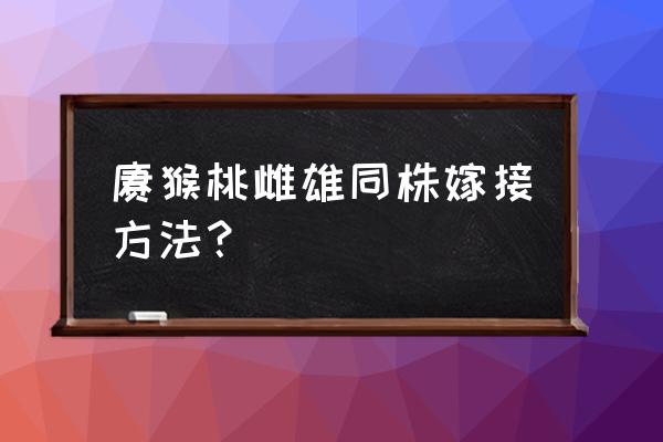 猕猴桃苗子看叶子怎么分公母 猕猴桃雌雄同株嫁接方法？