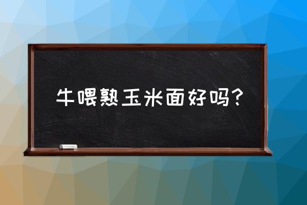 玉米面喂牛的正确方法 牛喂熟玉米面好吗？