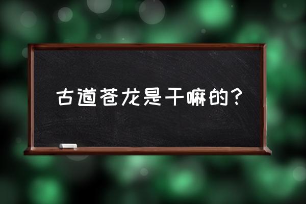 翡翠碧绿青龙 古道苍龙是干嘛的？