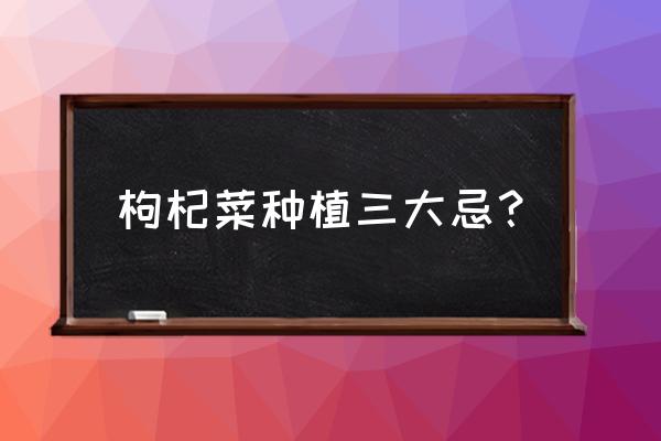 枸杞白粉病最怕的三种药 枸杞菜种植三大忌？