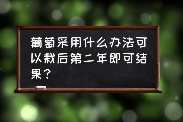 怎么能使葡萄根系更发达 葡萄采用什么办法可以栽后第二年即可结果？