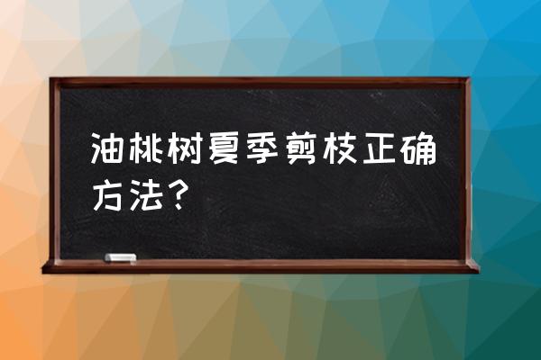 二年桃树怎么修剪 油桃树夏季剪枝正确方法？