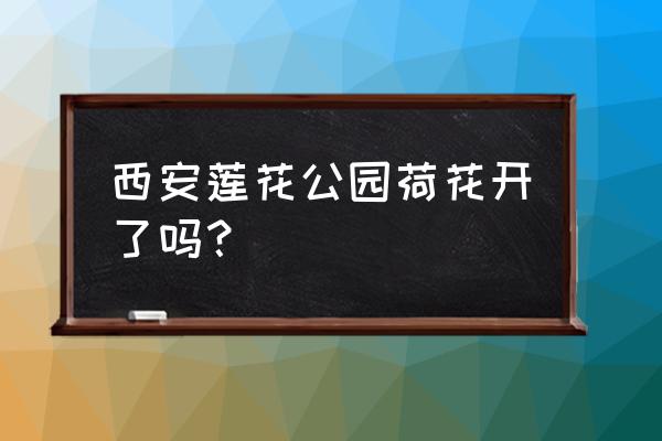 莲花池公园荷花几月开花 西安莲花公园荷花开了吗？