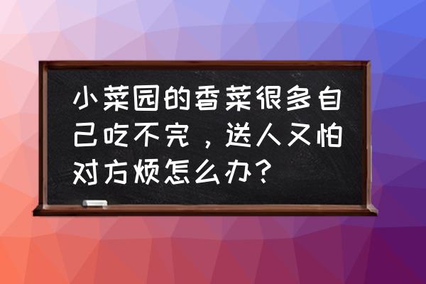 香菜多了怎么处理 小菜园的香菜很多自己吃不完，送人又怕对方烦怎么办？