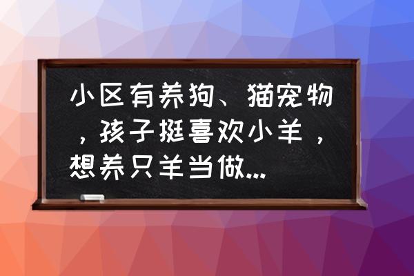 小羊喜欢玩什么 小区有养狗、猫宠物，孩子挺喜欢小羊，想养只羊当做宠物，行吗？