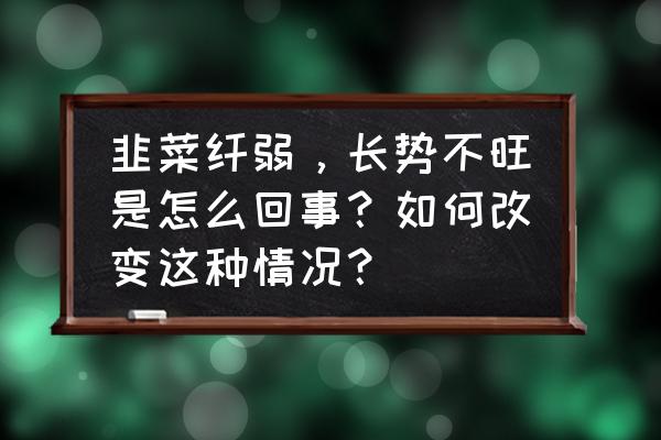 用超轻黏土怎么做韭菜 韭菜纤弱，长势不旺是怎么回事？如何改变这种情况？