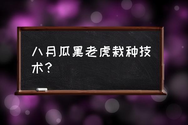 黑老虎果树苗可以种在院子里吗 八月瓜黑老虎栽种技术？