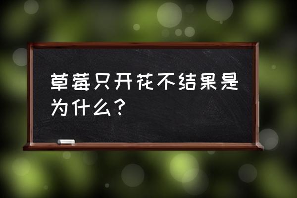 怎样让草莓可以开花多结果大 草莓只开花不结果是为什么？