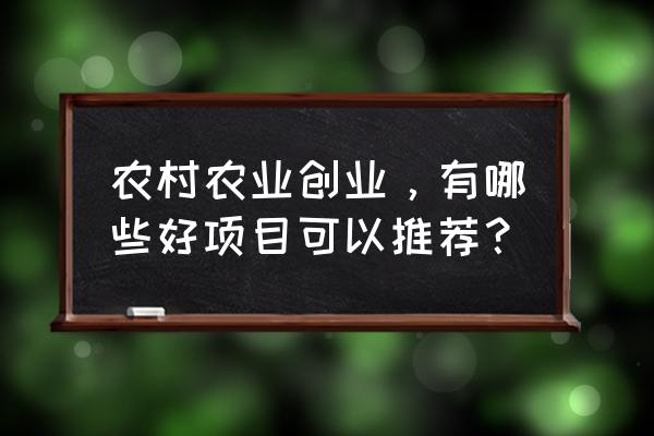 粘土海螺的做法 农村农业创业，有哪些好项目可以推荐？