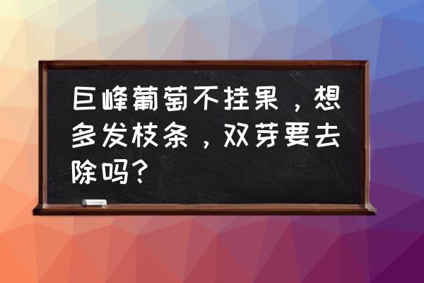 巨峰葡萄花芽怎样摘心 巨峰葡萄不挂果，想多发枝条，双芽要去除吗？