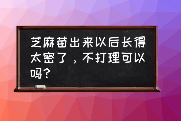 芝麻的营养液配方 芝麻苗出来以后长得太密了，不打理可以吗？