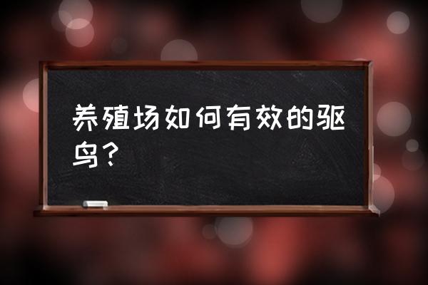 迷你世界稻草人吃什么可以驯服 养殖场如何有效的驱鸟？