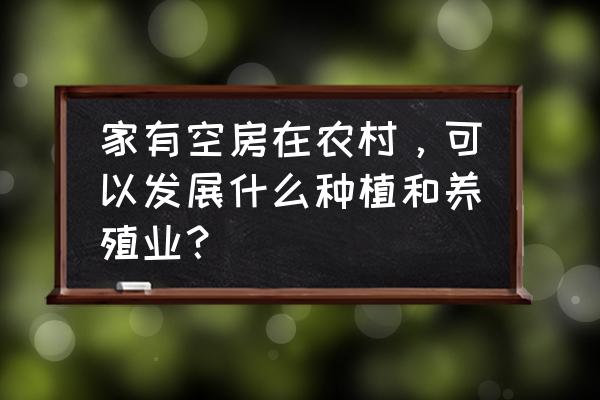 不见阳光的室内适合种植什么蔬菜 家有空房在农村，可以发展什么种植和养殖业？