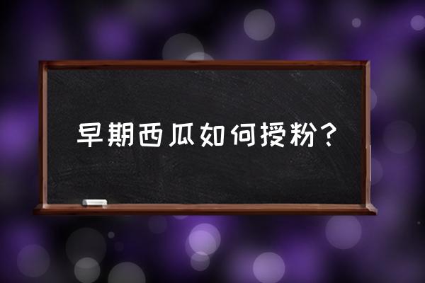 怎么判断西瓜授粉是否成功 早期西瓜如何授粉？