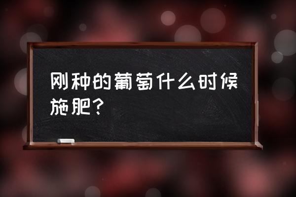 葡萄坐果后怎样施肥 刚种的葡萄什么时候施肥？