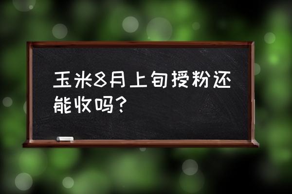 玉米怎样才算授粉了 玉米8月上旬授粉还能收吗？