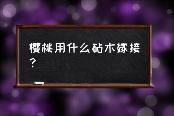 樱桃的树苗用什么砧木嫁接最好 樱桃用什么砧木嫁接？