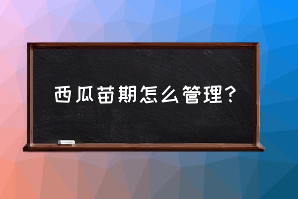 西瓜苗出土怎么管理 西瓜苗期怎么管理？