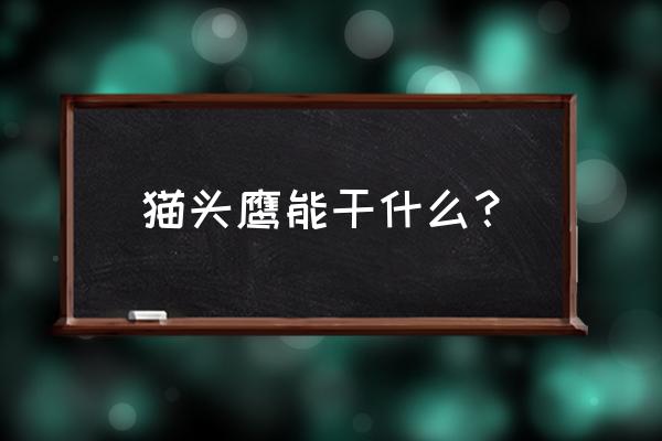 小鸡会吃什么有什么本领一年级 猫头鹰能干什么？