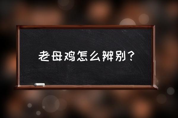 怎么判断一只鸡好不好 老母鸡怎么辨别？