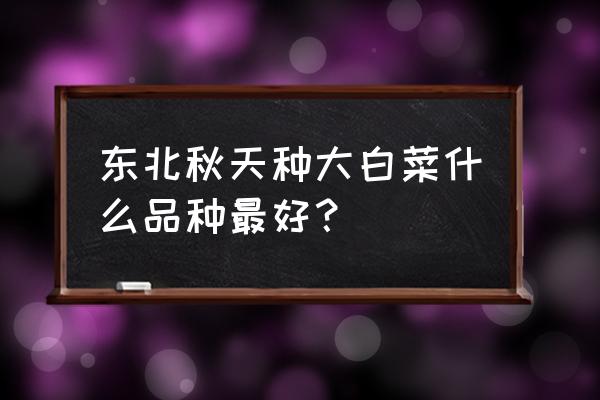 北方人最喜欢的大白菜 东北秋天种大白菜什么品种最好？