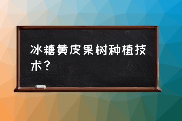 果树种植技术学习 冰糖黄皮果树种植技术？