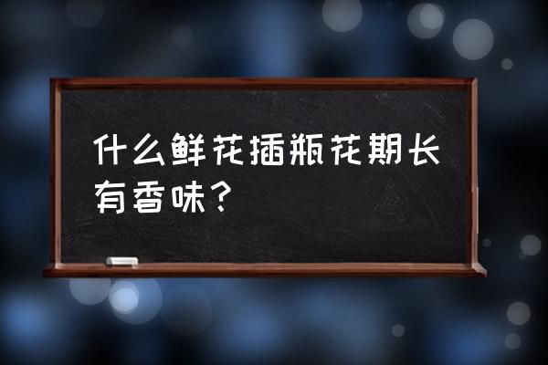 洋牡丹的球根怎么种 什么鲜花插瓶花期长有香味？