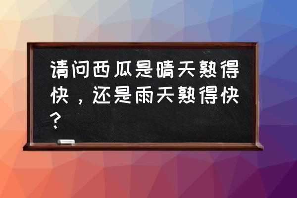 西瓜选大的好还是小的好 请问西瓜是晴天熟得快，还是雨天熟得快？