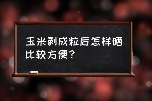 嫩玉米晒干的正确方法 玉米剥成粒后怎样晒比较方便？