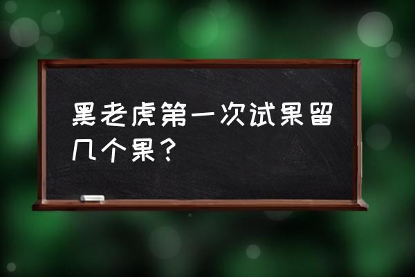 黑老虎果树可单棵种植吗 黑老虎第一次试果留几个果？