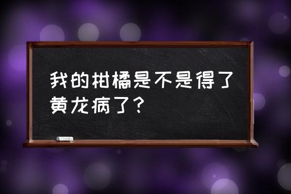 柑橘叶片斑驳黄化有哪几种原因 我的柑橘是不是得了黄龙病了？