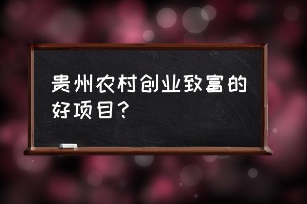 八个适合在农村创业致富的项目 贵州农村创业致富的好项目？