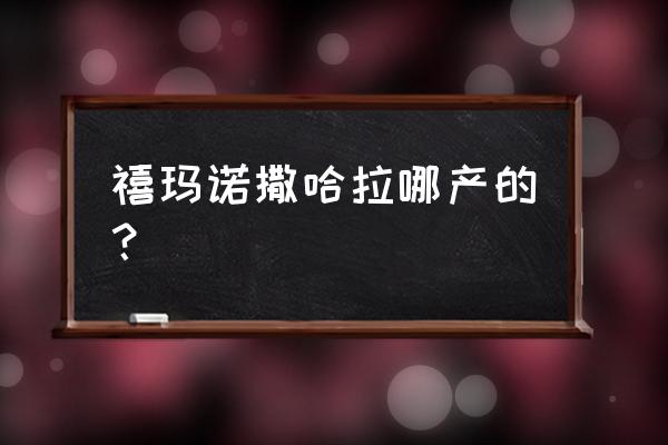 马来西亚哪里海钓最好 禧玛诺撒哈拉哪产的？