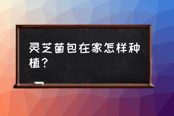 卧室阳台放菌包有害吗 灵芝菌包在家怎样种植？