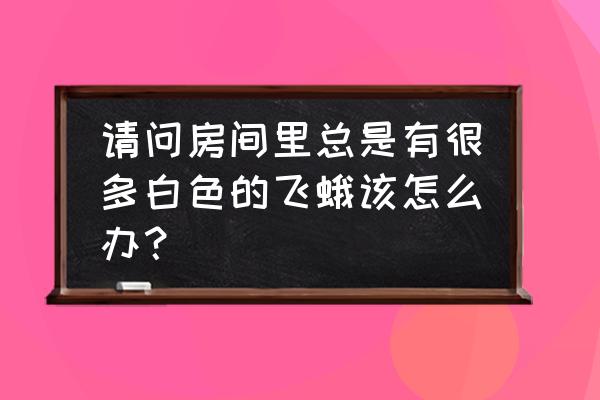 如何彻底消灭小白蛾 请问房间里总是有很多白色的飞蛾该怎么办？