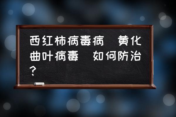 希望之村怎么让野生醋栗枯萎 西红柿病毒病（黄化曲叶病毒）如何防治？