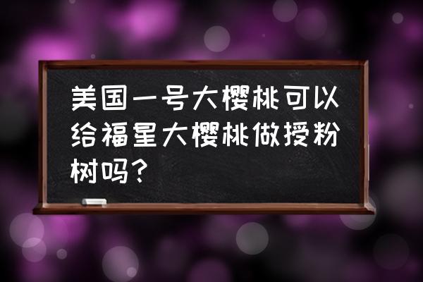 只有一棵大樱桃树最好的授粉方法 美国一号大樱桃可以给福星大樱桃做授粉树吗？