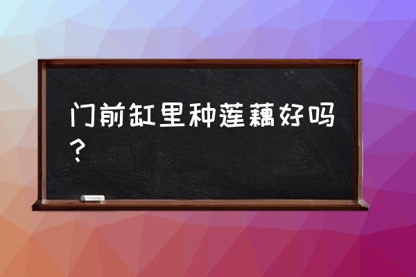 种藕的正确位置图 门前缸里种莲藕好吗？