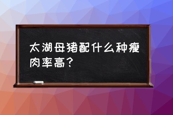 母猪怎么配能多产仔 太湖母猪配什么种瘦肉率高？